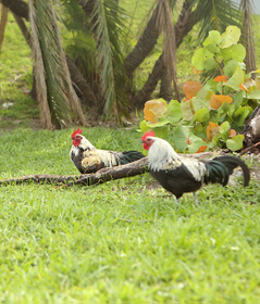 The excellent after sales service