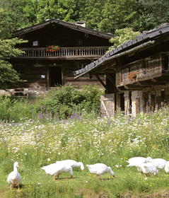 Professional&efficient consultation