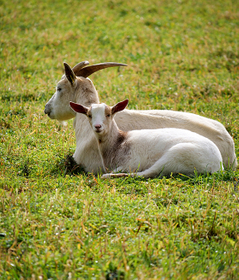 The stable product quality